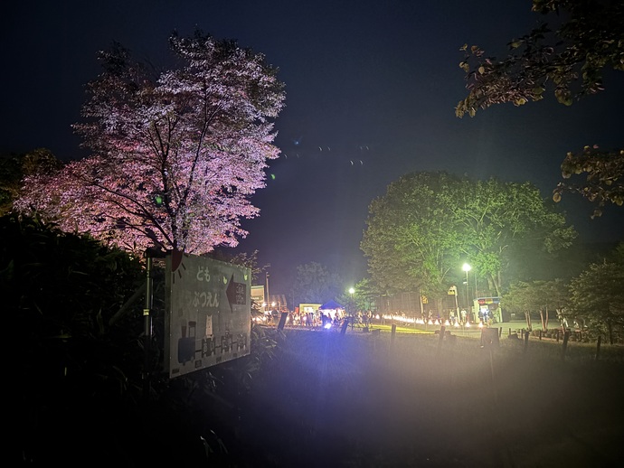 園内の様子