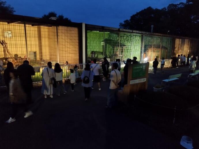 2025年8月14日公開 夜間開園の状況