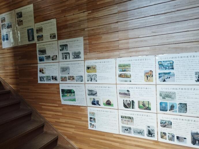 2025年9月3日公開　総合獣舎の階段