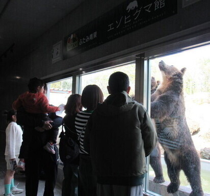写真：エゾヒグマガイド