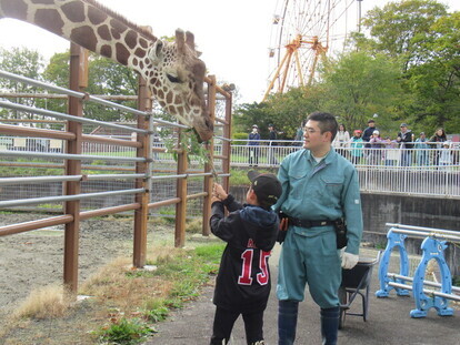 写真：キリンの餌やり