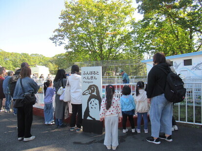 写真：ペンギンガイド