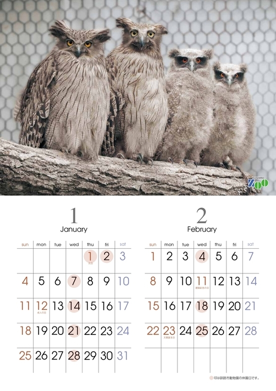 写真:動物園オリジナルカレンダー内容