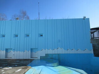 塗装ボランティア4