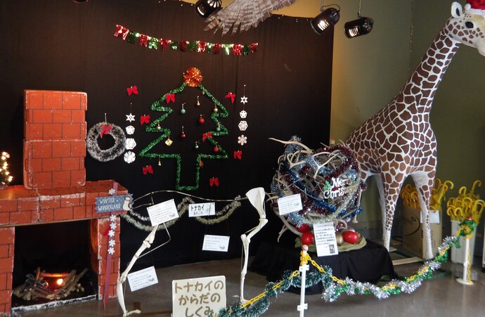 クリスマス特別展示