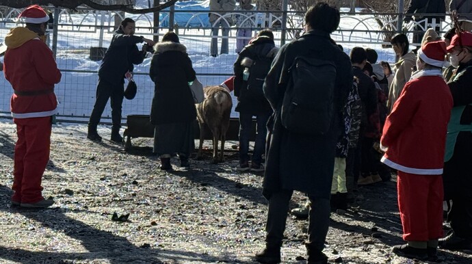 トナカイガイド