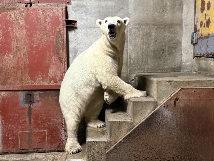 到着直後のマルル