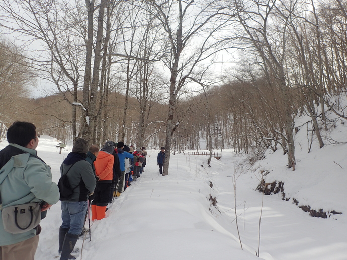 2024年の冬のいきもの観察会の写真