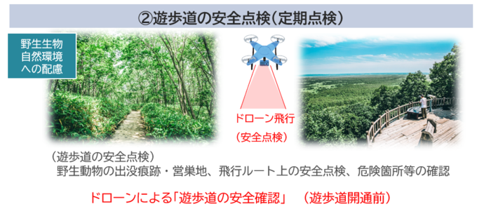 遊歩道の安全点検（）