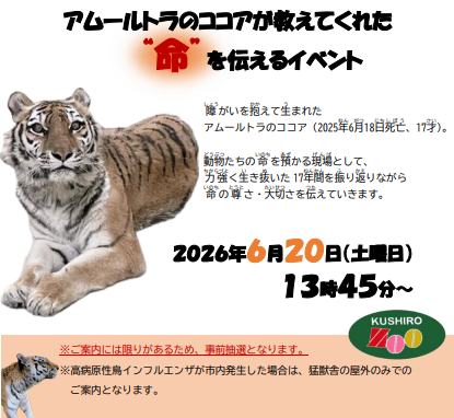 cocoa命のイベント