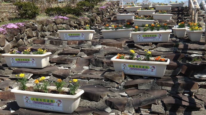 20260430花植え正門前の階段