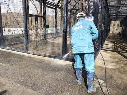 高圧洗浄機を使用している写真