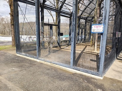 清掃前のフクロウの森の写真