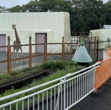 キリン・シマウマ放飼場横に設置したアブキャップ
