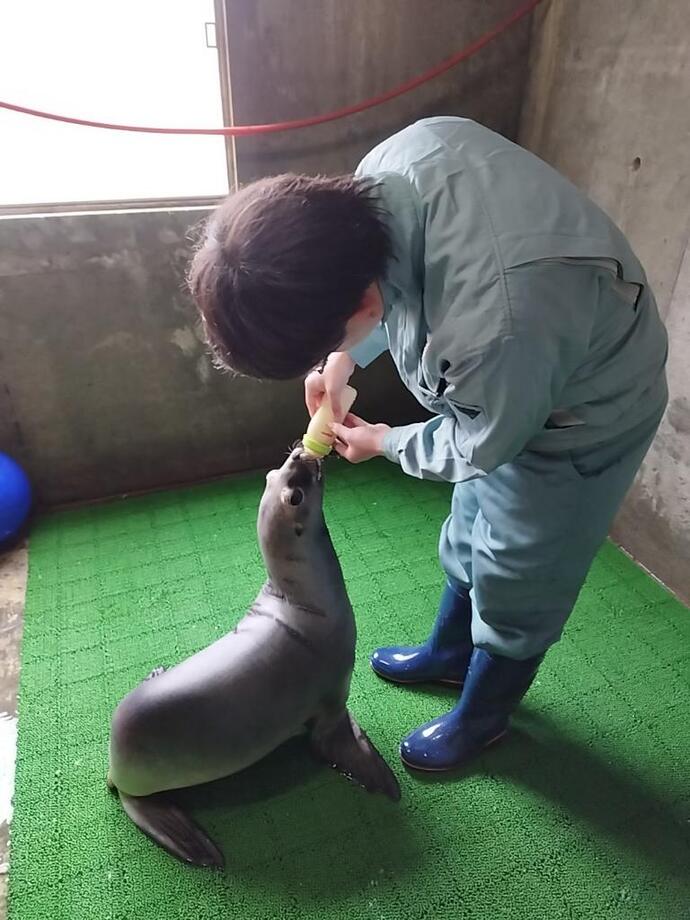 2356