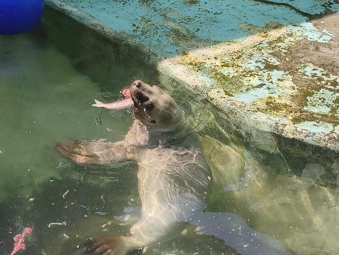 2302