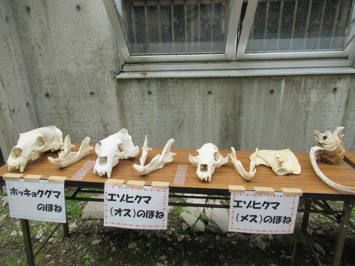 午前の部 0