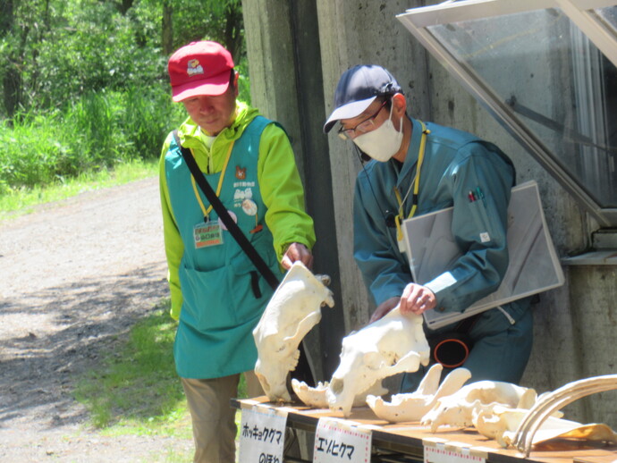 午前の部 骨格