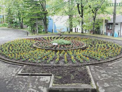花壇整備ボランティア