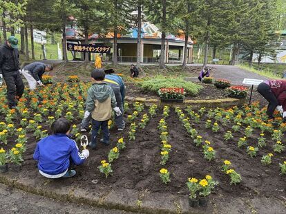 花壇整備ボランティア