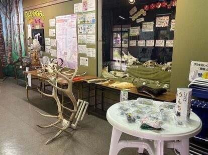 ミニ展示