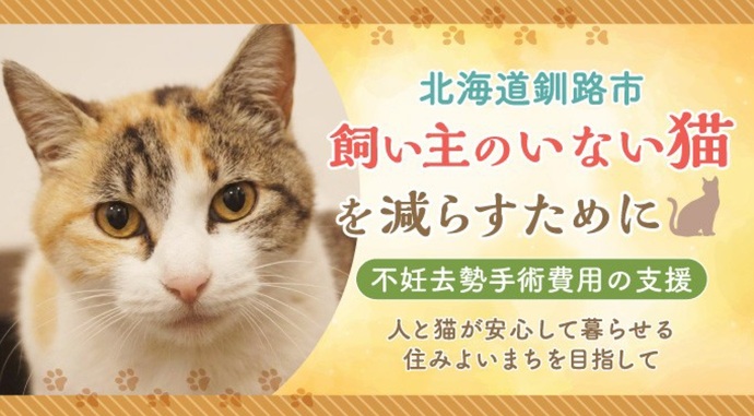 猫の画像